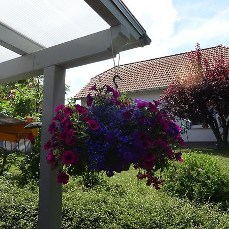 Ferienwohnung Relax Ilsenburg Eksteriør bilde