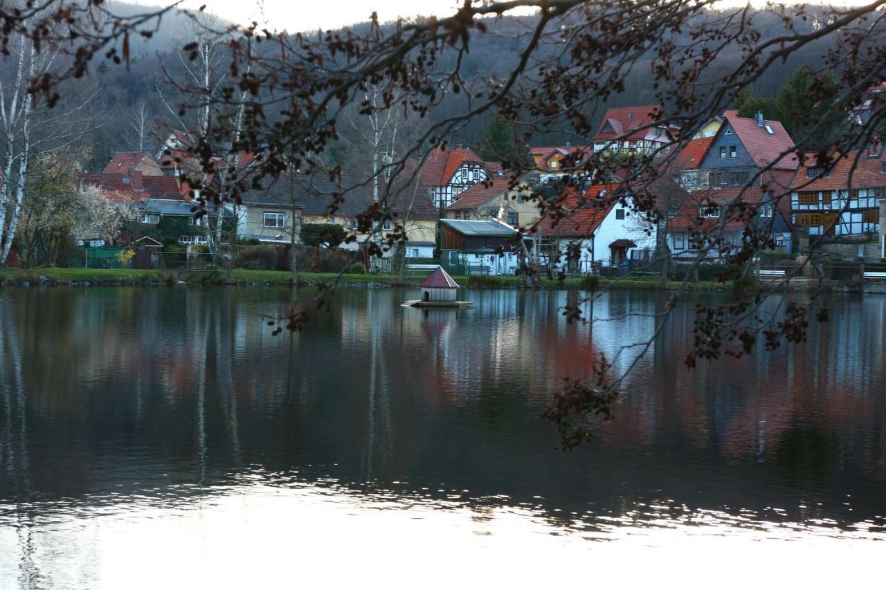 Ferienwohnung Relax Ilsenburg Eksteriør bilde