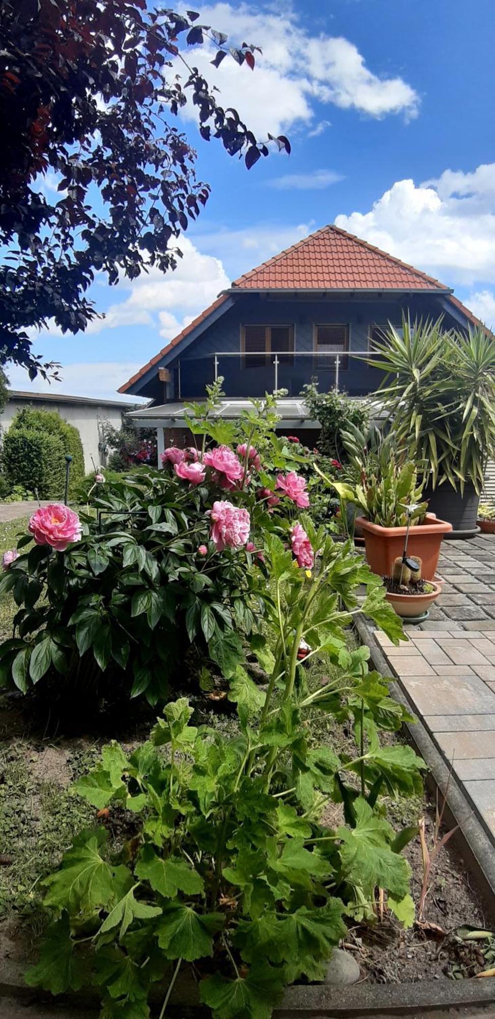 Ferienwohnung Relax Ilsenburg Eksteriør bilde
